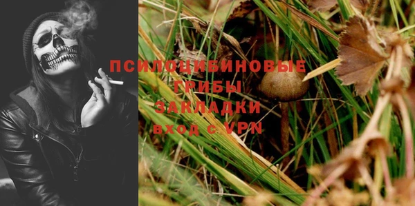 ешки Кукмор